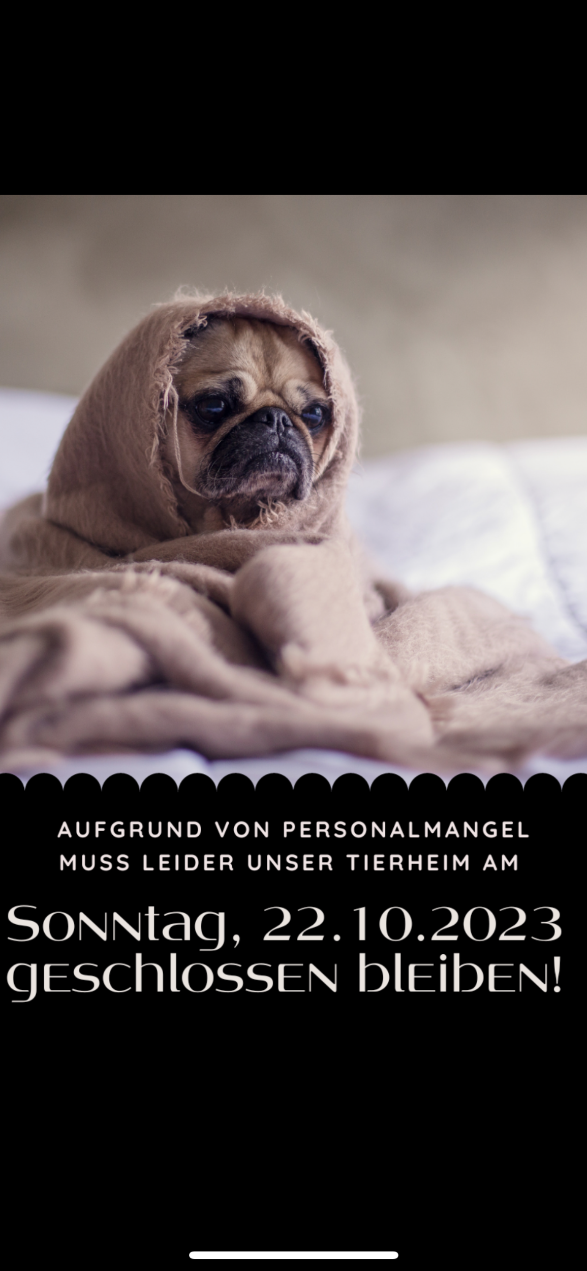 Wir bitten um euer Verständnis Tierschutzverein Bad Wildungen und Umgebung e.V. Hoffnung